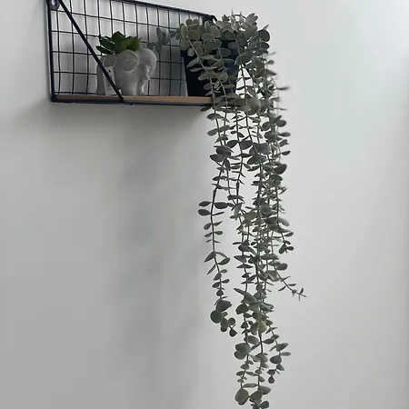 Aiolos Chania Center Luxury Near The Garden Appartement Chania (Crete)