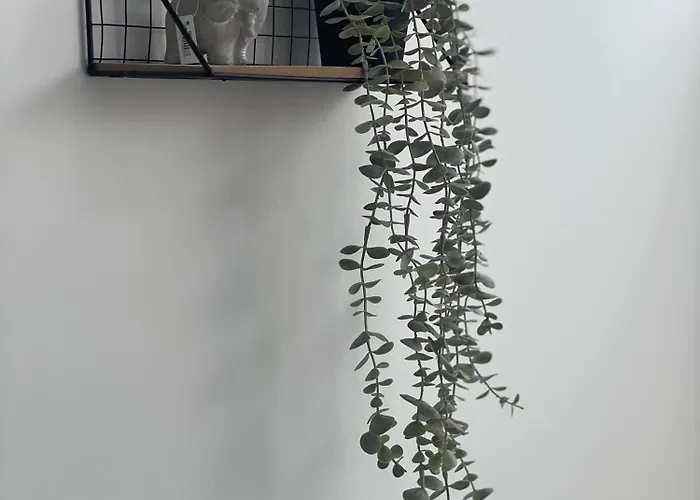 Aiolos Chania Center Luxury Near The Garden Апартаменты Ханья