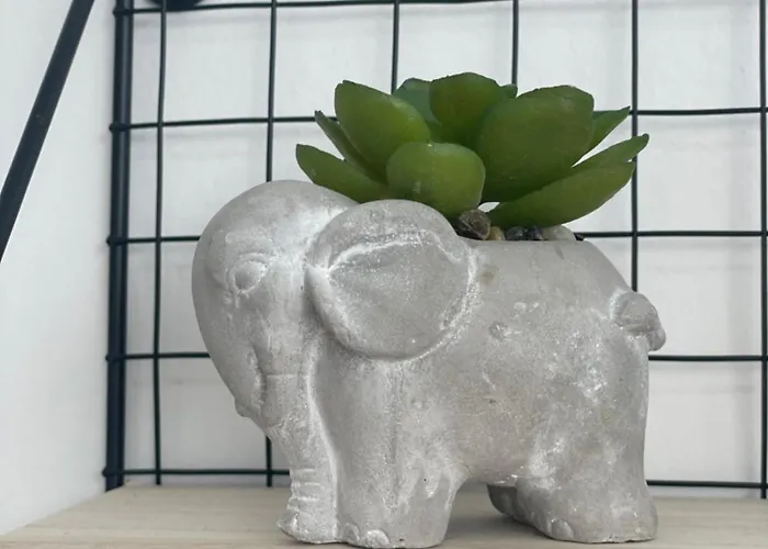 Aiolos Chania Center Luxury Near The Garden Апартаменты Ханья